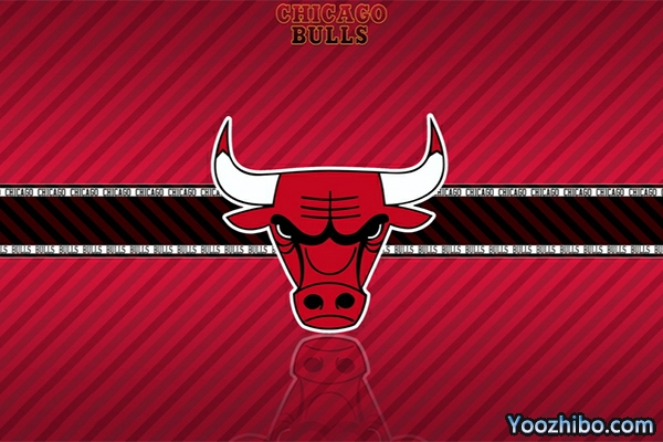 <a href=/lanqiujingpin/bulls/ target=_blank class=infotextkey>公牛</a>队